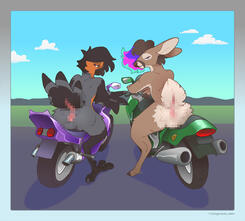 (NSFW) Bike Butts